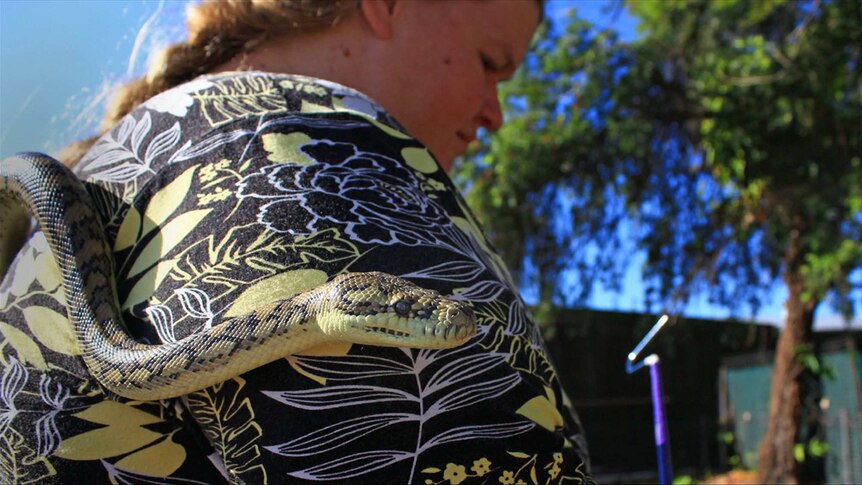 Snake crawling along the back of woman. photo taken from rear showing part of her head