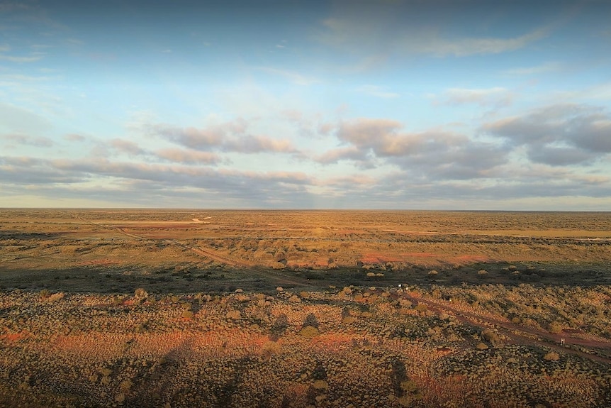 Une image de drone d'un paysage verdoyant près du coin de Cameron.