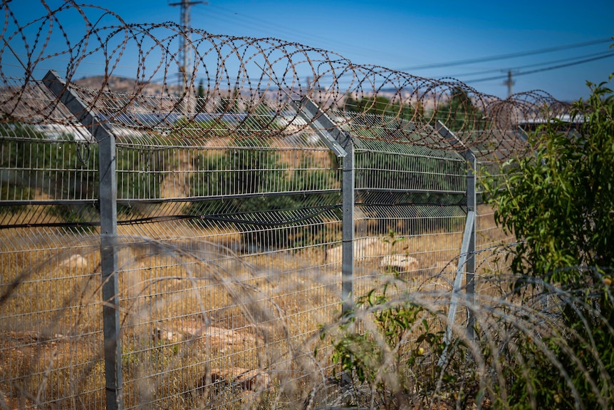 A barbed wire fence surrounds dry brown grass and green bushes, against a blue sky