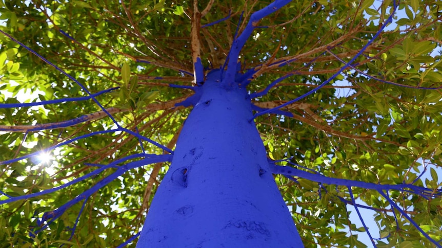 Blue Trees