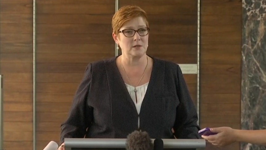 Foreign Minister  Marise Payne says Australia remains concerned about Hakeem AlAraibi