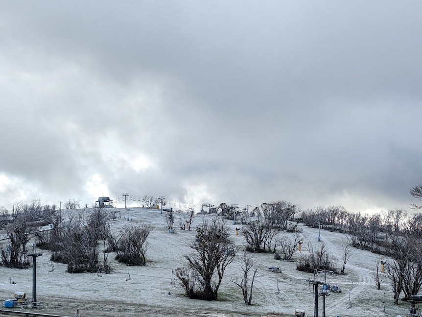 a snowy mountain