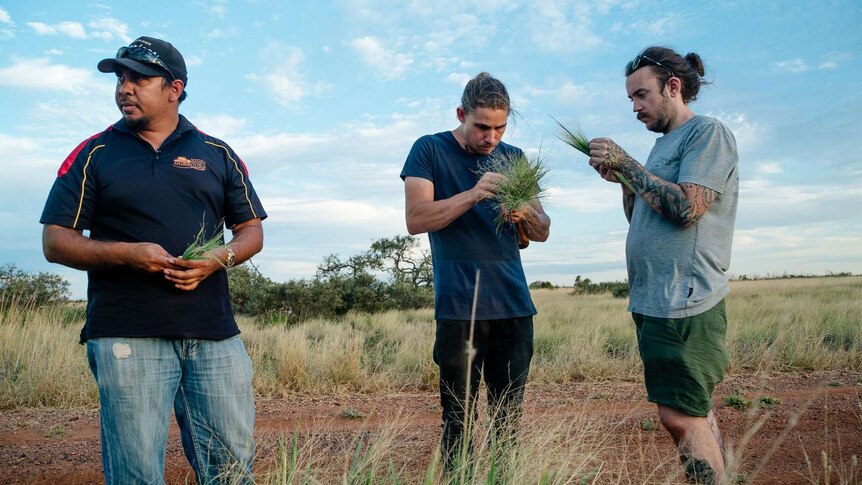 Paul Iskov and two other men pick spinifex and damper in a bush setting.