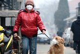 Man walks his dog with face masks on