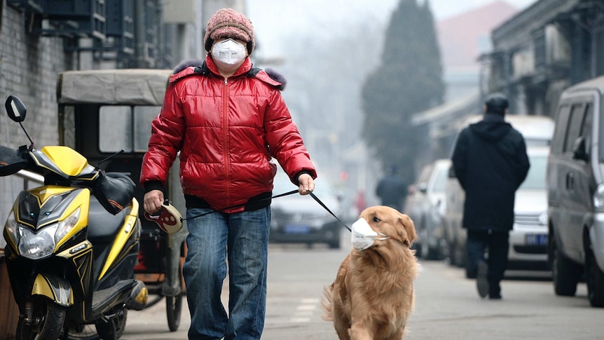 Man walks his dog with face masks on