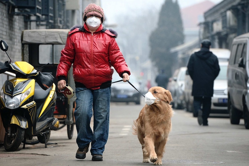 Man walks his dog with face masks on