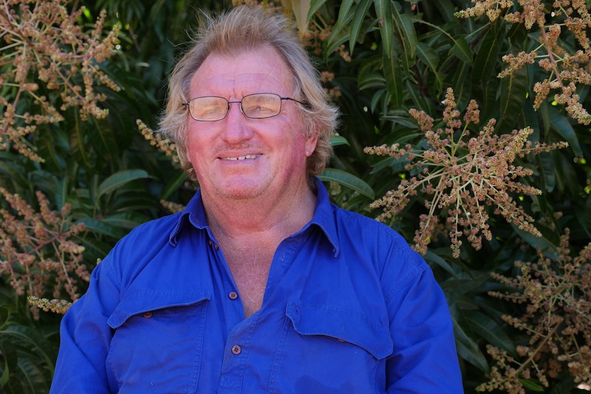 A middle aged man wearing a blue shirt and glasses in front of flowering mango trees