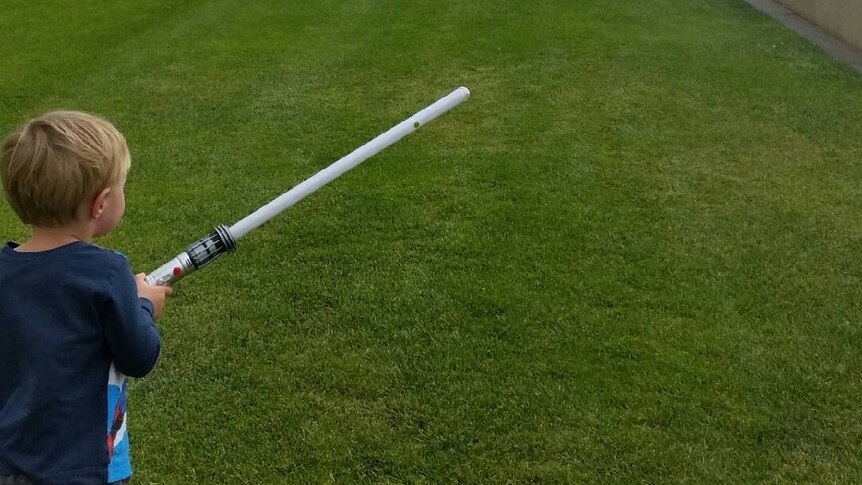 A boy brandishes a lightsaber on Capital Hill