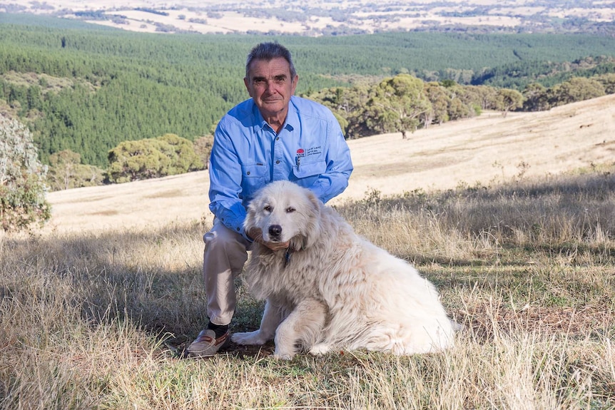 A man with a maremma in a local land services shirt in front of a landscape