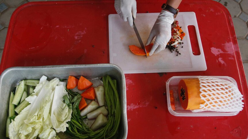 Gloved hands slicing fresh pawpaw and a dish of the fruits and vegetables that form the monkey's new diet.