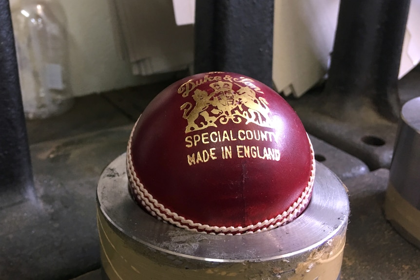 A cricket ball with dukes branding printed in gold on top sitting in a cradle.