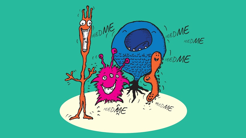 An illustration of four cartoon creatures of various shapes saying 'Feed me'