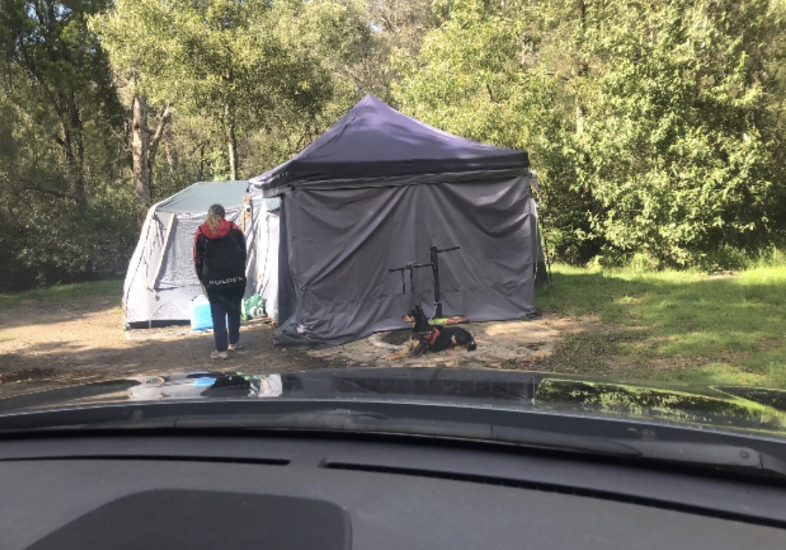Tent in the forest