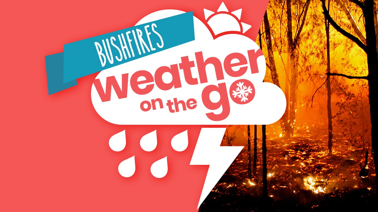 Weather On The Go Rain Idioms And Phrases Abc Education