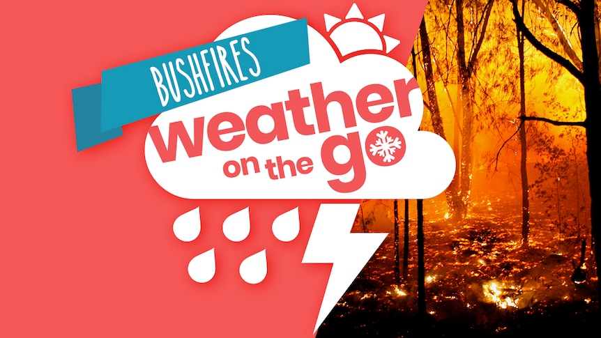 Still of weather on the go bushfires episode