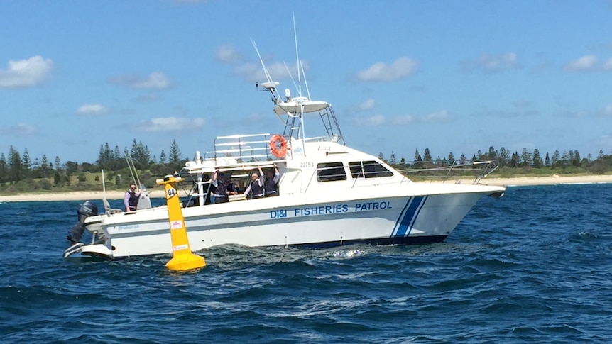 Fisheries patrol boat on the water at Ballina.