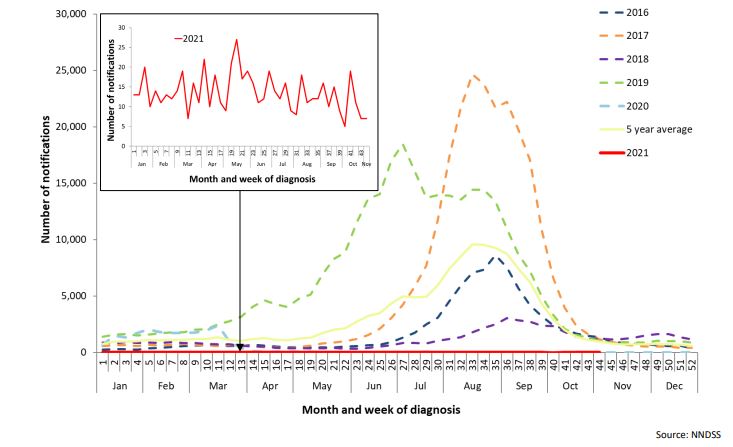 A graph of influenza case numbers shows regular spikes over four years but two flat lines for the 2020 and 2021 statistics.