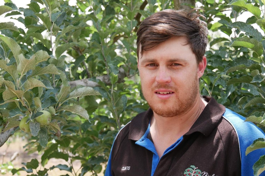 Mr Allen poses for camera in front of a green tree from his orchard.