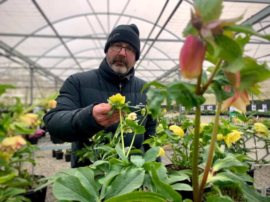 A man is touching a flower rugged up in warm clothes 