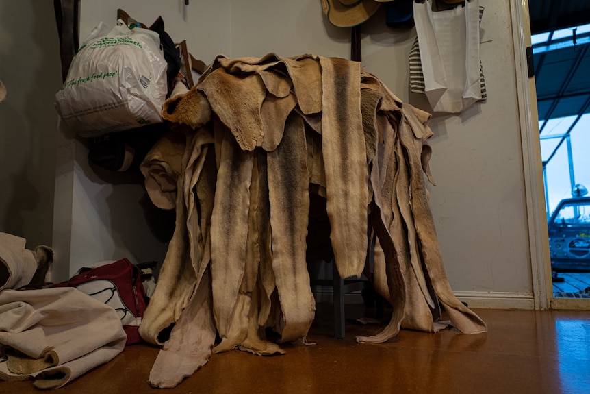 A pile of kangaroo skins.