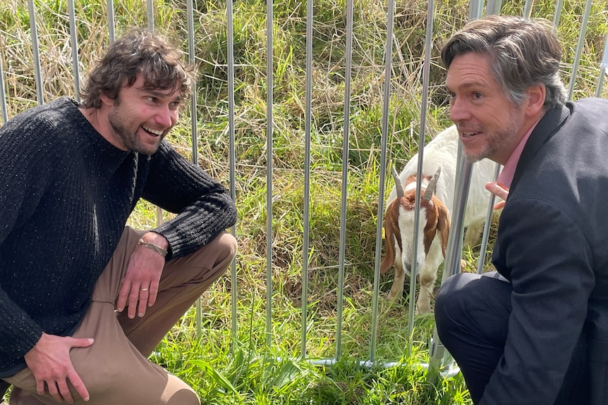 A goat behind a fence, with two men outside the pen.