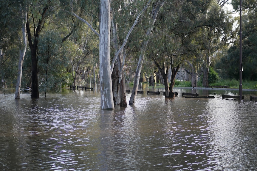 A flooded park.