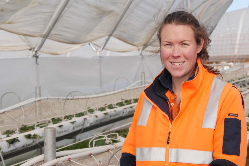 A woman in an orange high visibility vest stands in a poly tunnel