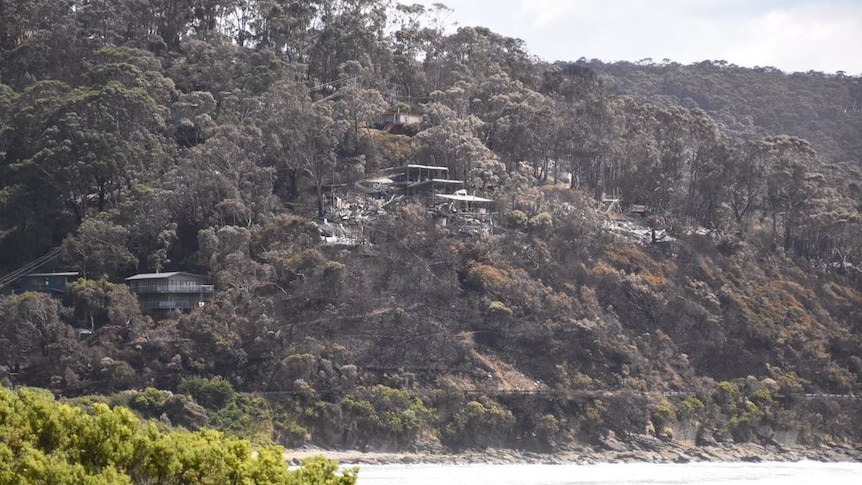 Houses destroyed by fire on a hillside of scorched trees