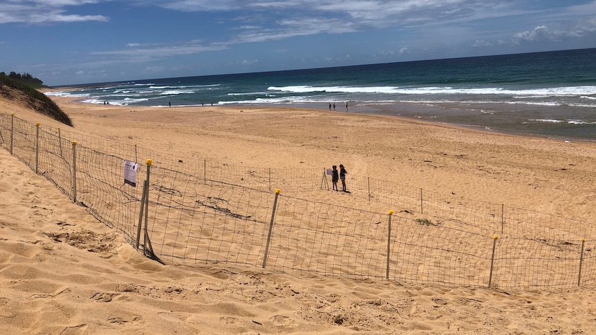 A fenced off section of a beach