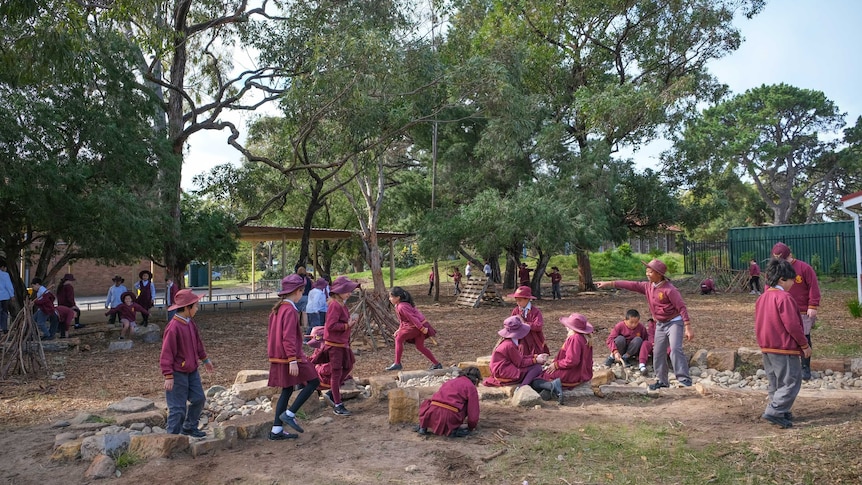 Students in the natural playground at Daceyville Public School.