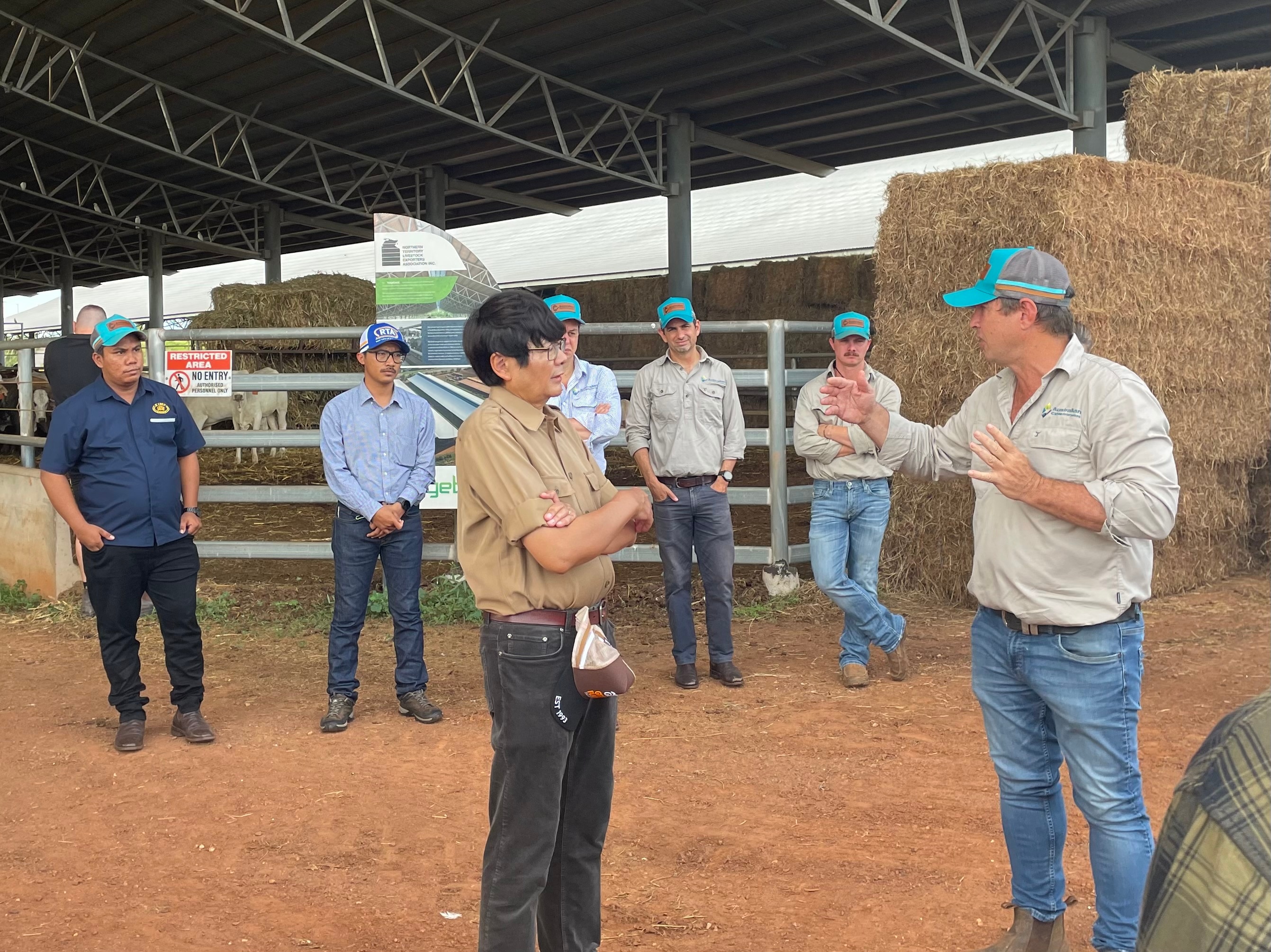Group of men near hay stacks at Berrimah Export Yards.