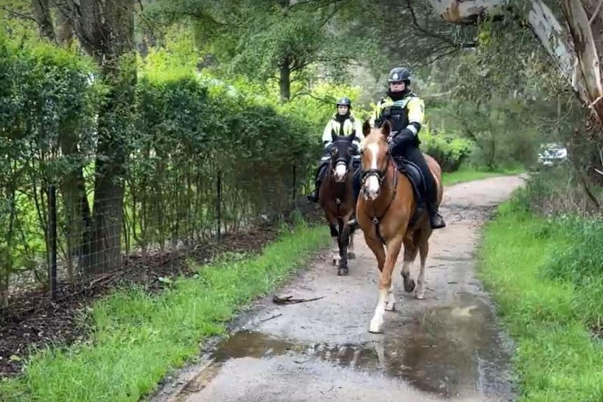 Two mounted police officers ride their horses down a path in a forested area.
