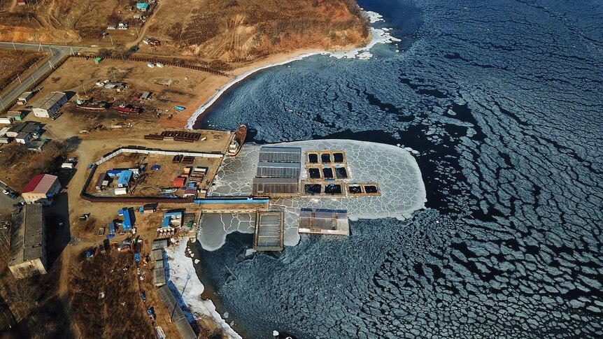 An aerial shot of an icy sea and some small pens where whales and belugas are kept.