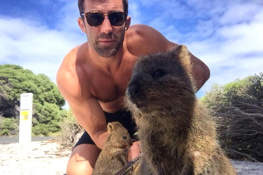 A bare-chested man wearing sunglasses crouches down to pose with two quokkas.