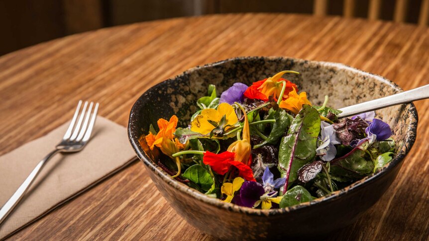 A bowl of wild leaves being served at a dinner by Melbourne chef Ben McMenamin.