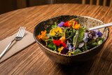 A bowl of wild leaves being served at a dinner by Melbourne chef Ben McMenamin.