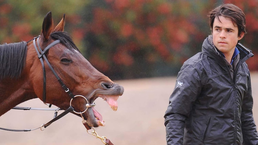 Dunaden yawns at Werribee trackwork