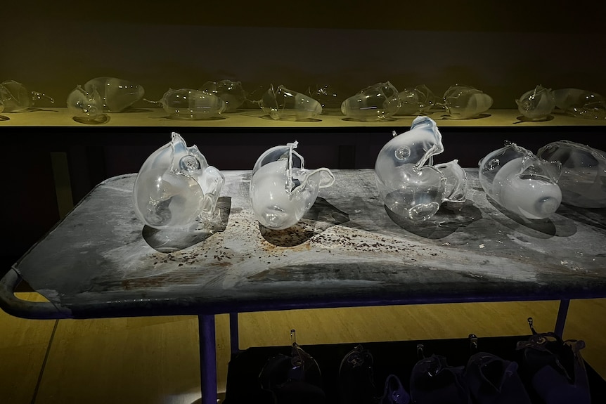 Flayed glass bush bananas lying on metal mortuary trolley