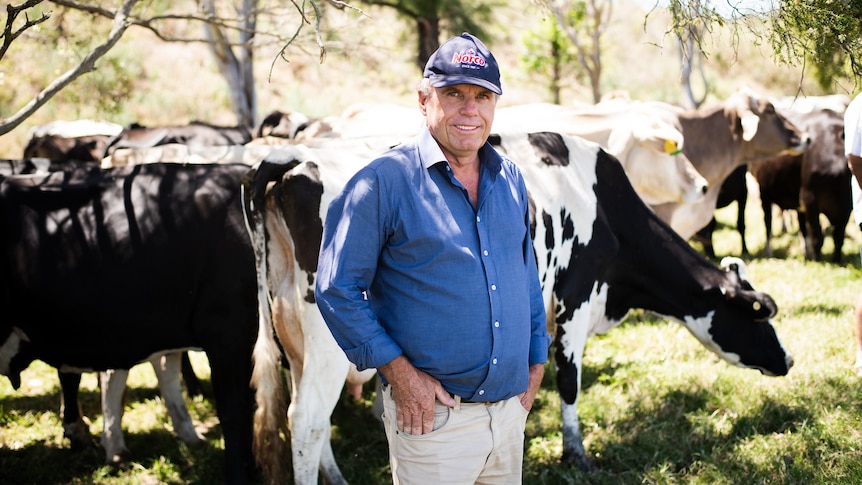 A man wearing a blue shirt and cap stands in front of black and white dairy cows. 