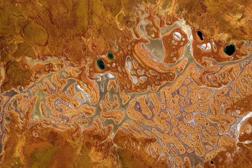 An earthen-coloured waterway with water glistening through it, as seen from above.