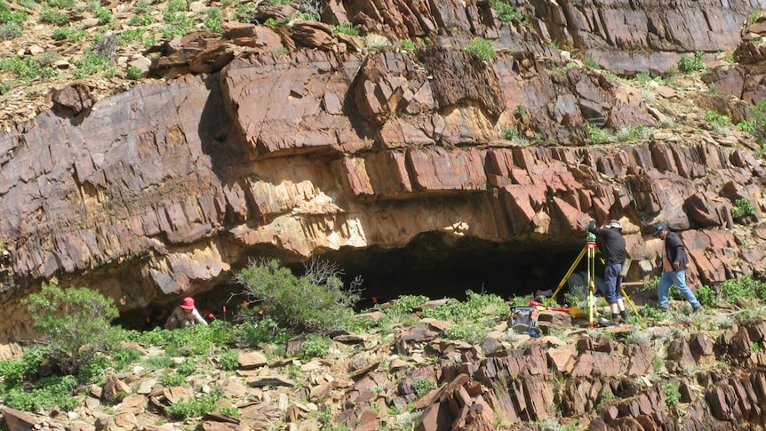 Warratyi rock shelter holds oldest known tools
