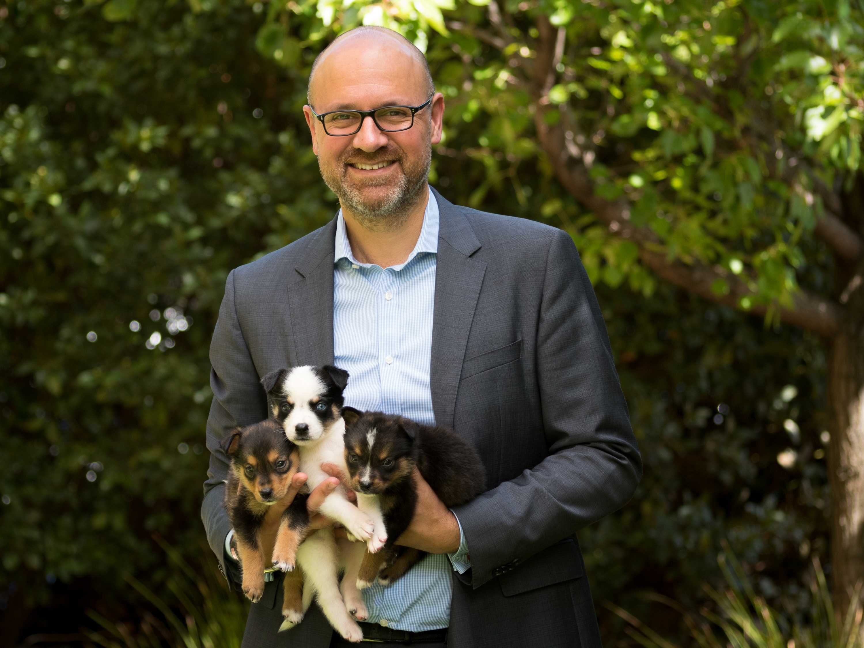 RSPCA's Safe Kennels program at capacity with pets of people affected ...