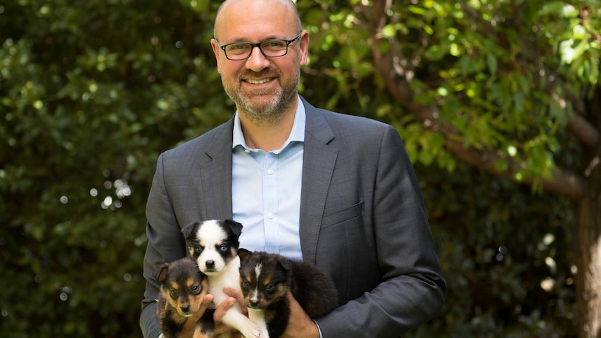 RSPCA CEO Tim Vasudeva with puppies abandoned at Christmas - Donner, Dasher and Blitzer.