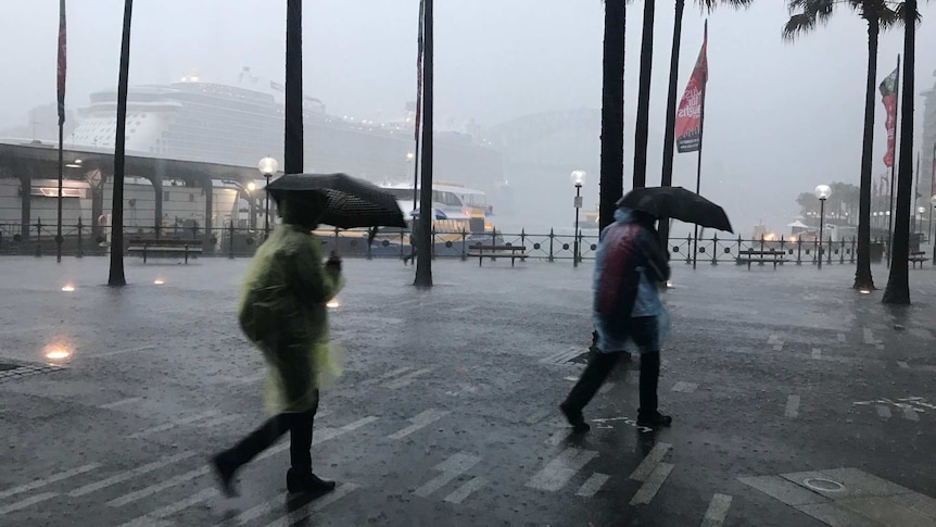 Two people wearing ponchos walk through Sydney's Circular Quay with umbrellas as the city is drenched in torrential rain.