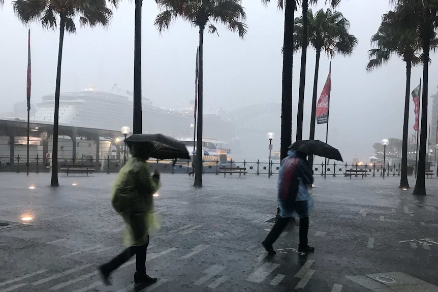 Two people wearing ponchos walk through Sydney's Circular Quay with umbrellas as the city is drenched in torrential rain.