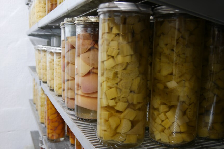 Rows of colourful fruit sit in glass jars