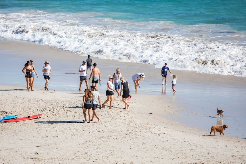 A group of people at a beach.