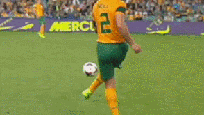 Socceroos captain Lucas Neill gets frustrated with the crowd during a friendly against Costa Rica.