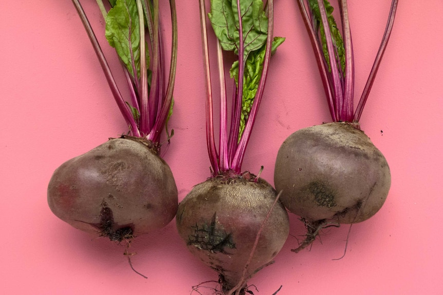 Three raw beetroot with stems on pink surface.