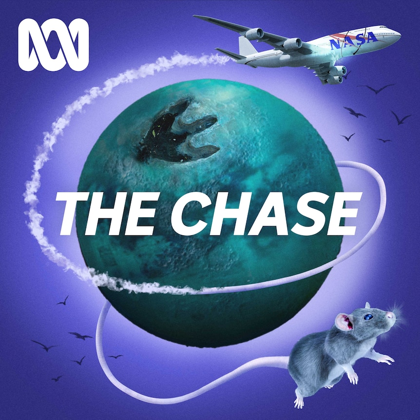 The Chase podcast image